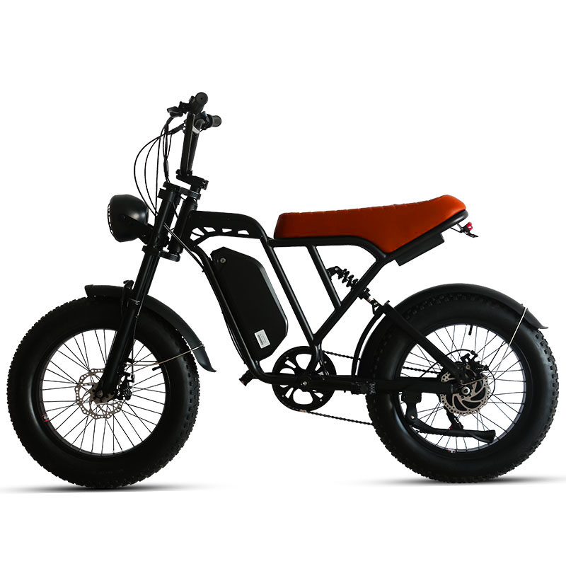 Multi-purpose City ebike