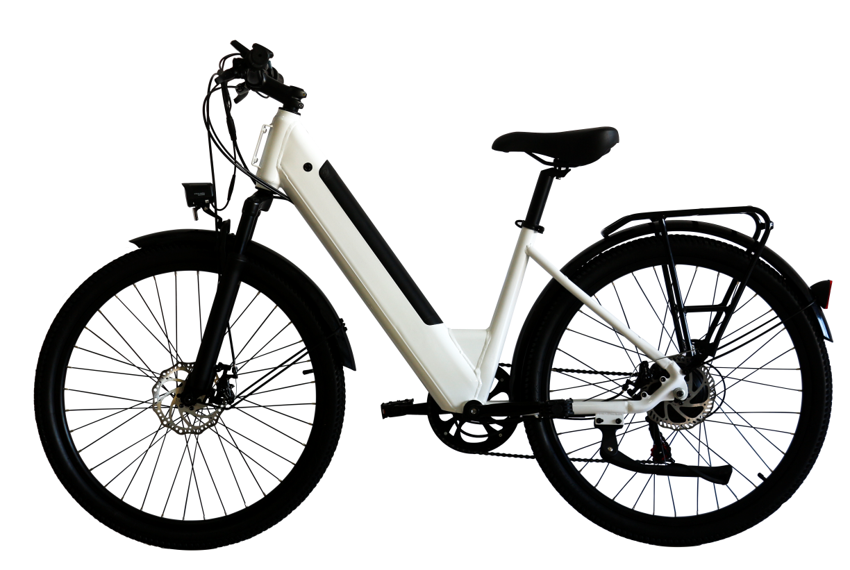 Multi-purpose City Electric Bike Multi-purpose City Electric Bike