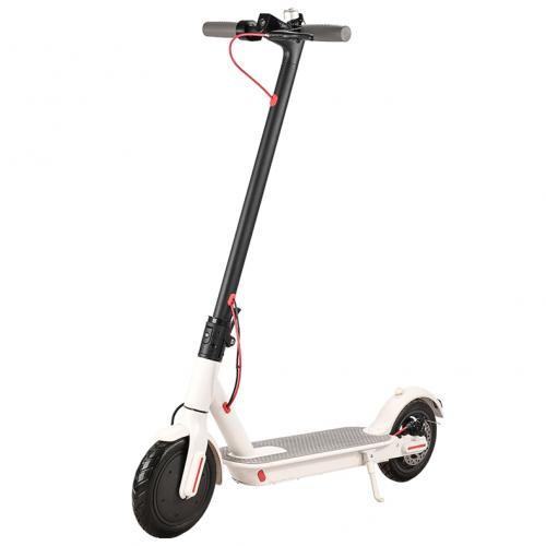 M365 Electric Scooter